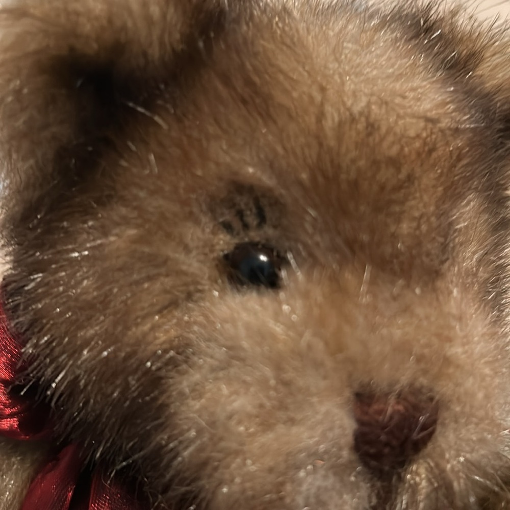 Gund bear - Picture 2 of 3